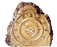 Brown Mallee Clock